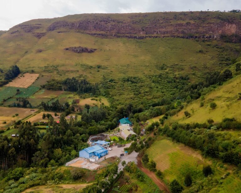 Rosemary Growth Environment