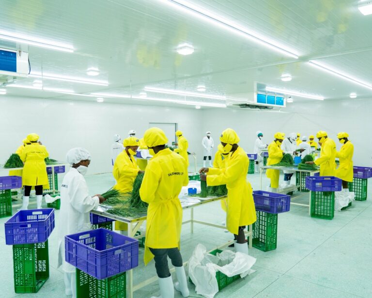 Quality Assurance and Standards