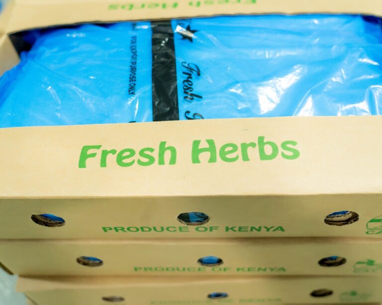 Packaging of herbs for export